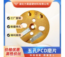 五孔PCD磨片